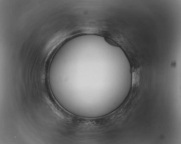 X0000116330243200912151311