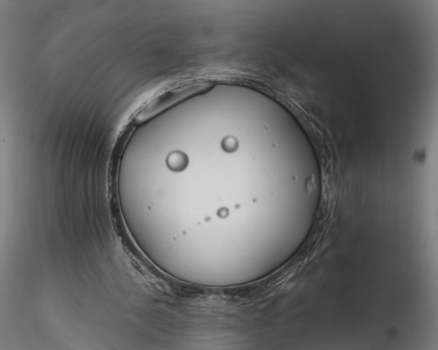 X0000116330244200912151311