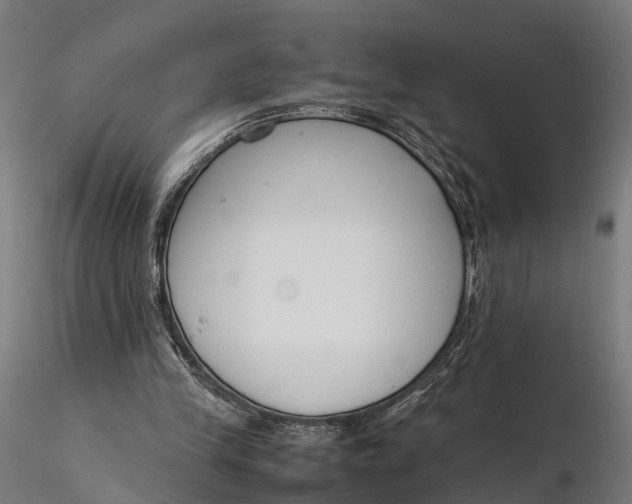 X0000116330245200912151311