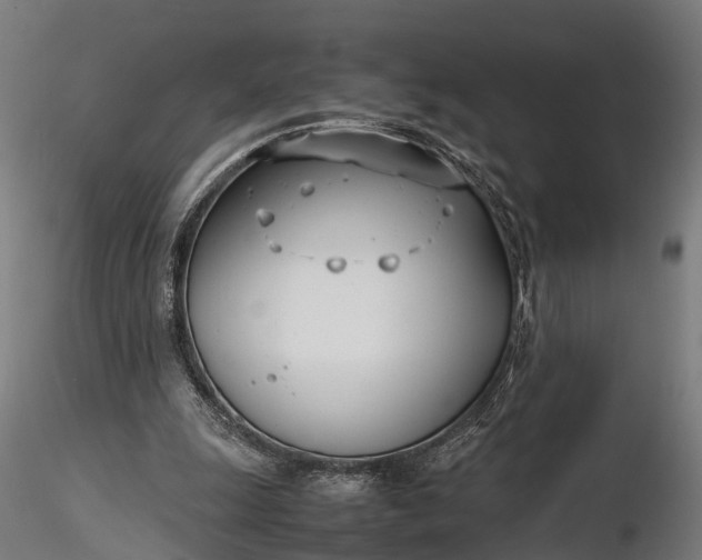 X0000116330247200912151311