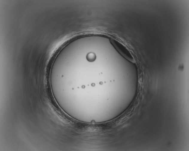 X0000116330248200912151311