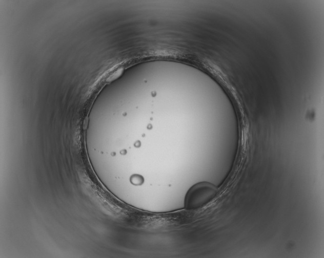 X0000116330249200912151311