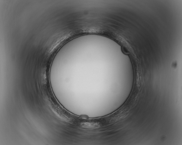 X0000116330251200912151311