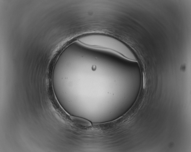 X0000116330252200912151311