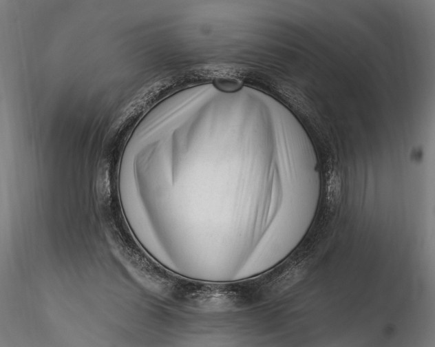 X0000116330254200912151311