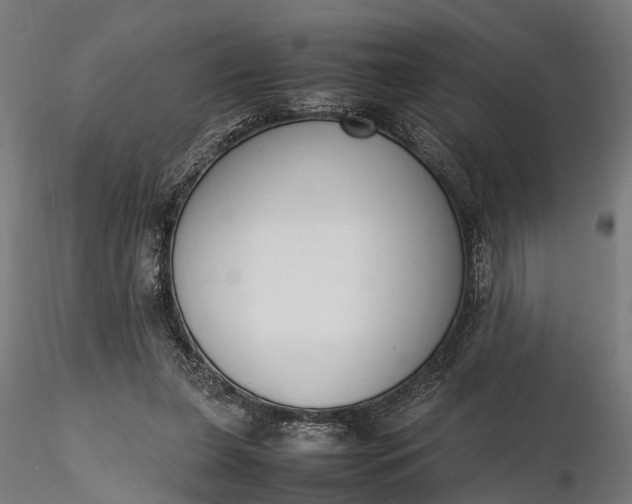 X0000116330255200912151311