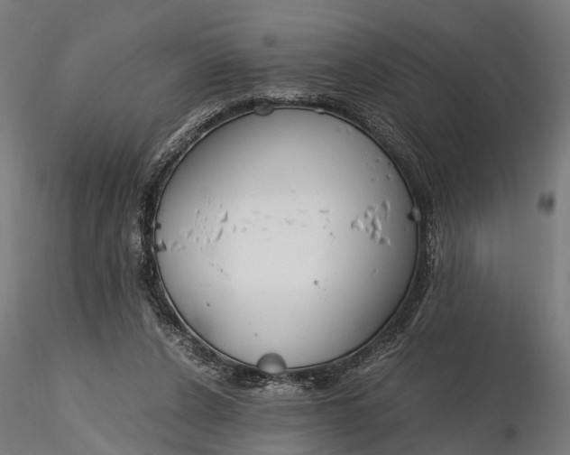 X0000116330256200912151311