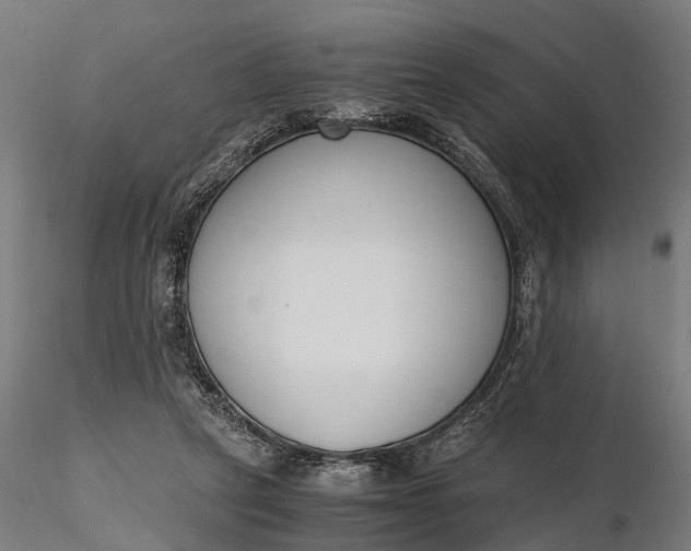 X0000116330257200912151311