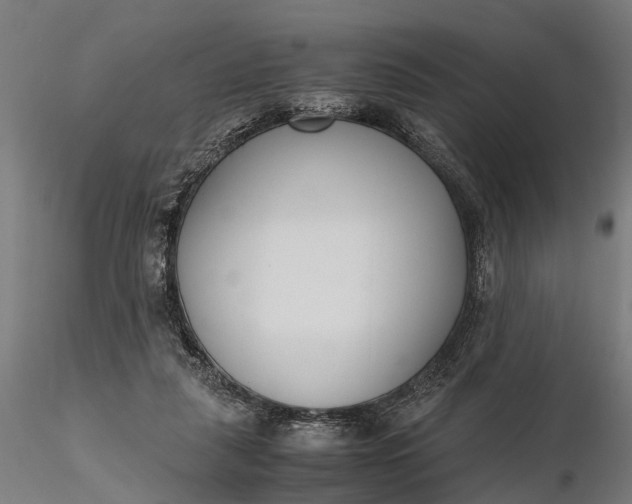 X0000116330259200912151312