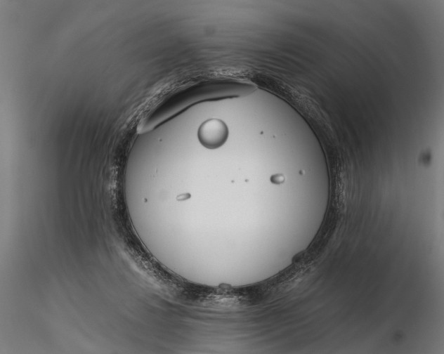 X0000116330260200912151312