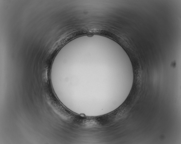 X0000116330262200912151312