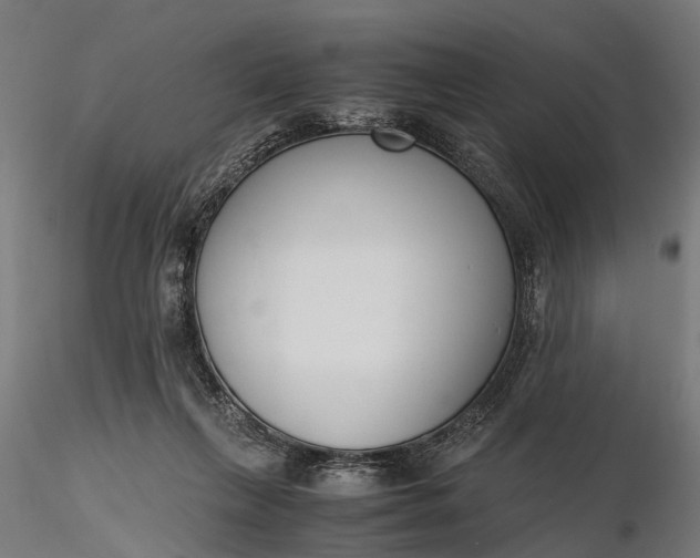 X0000116330263200912151312