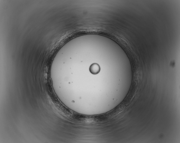 X0000116330264200912151312