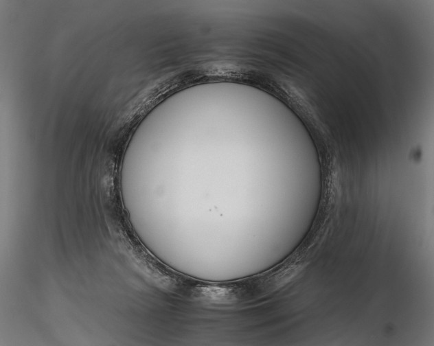 X0000116330265200912151312