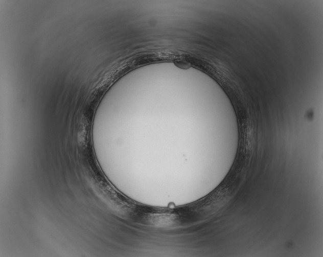 X0000116330266200912151312