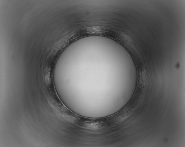 X0000116330267200912151312