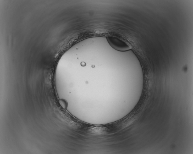 X0000116330269200912151312