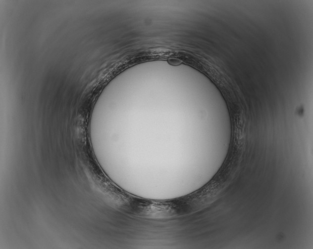 X0000116330270200912151312