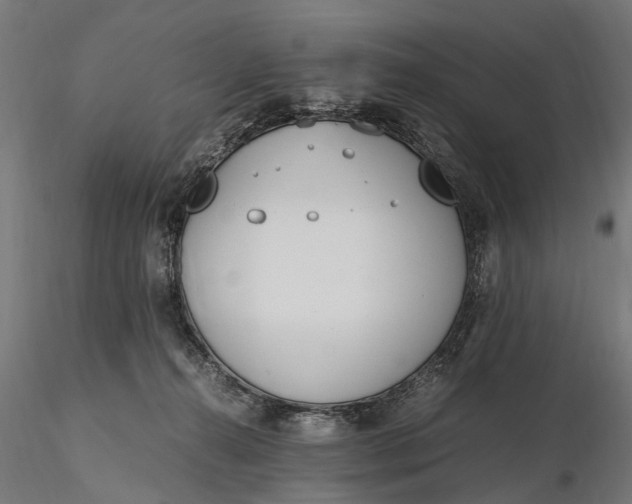 X0000116330272200912151312