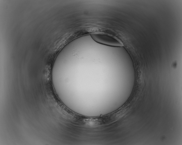 X0000116330273200912151312