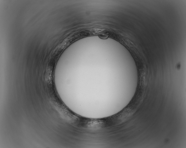 X0000116330274200912151312