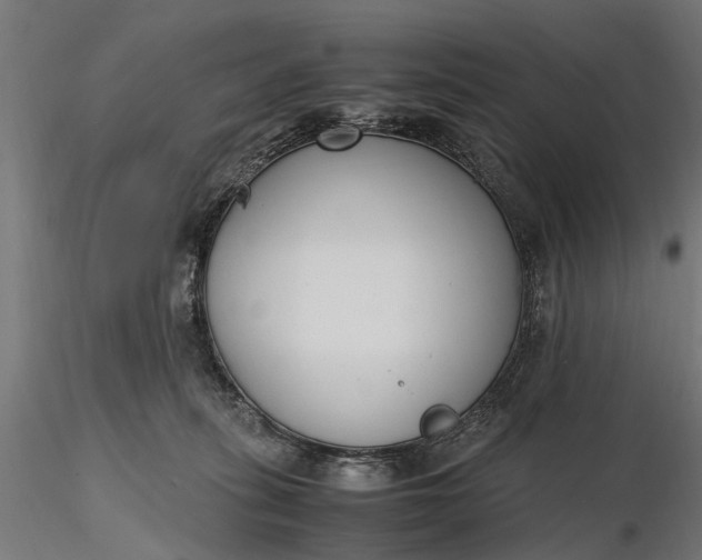 X0000116330275200912151312