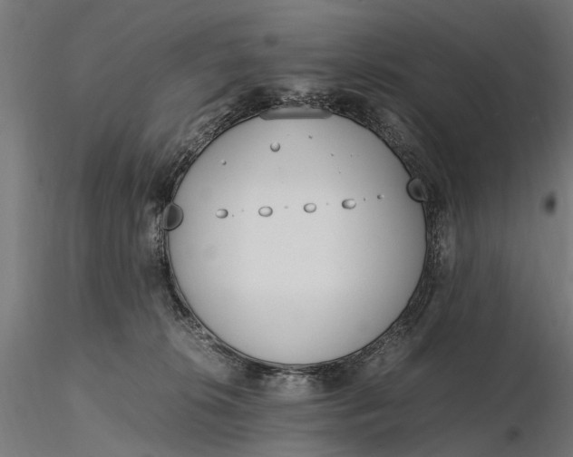 X0000116330276200912151312