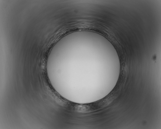 X0000116330277200912151312