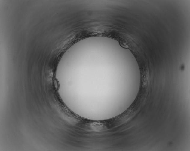 X0000116330279200912151312