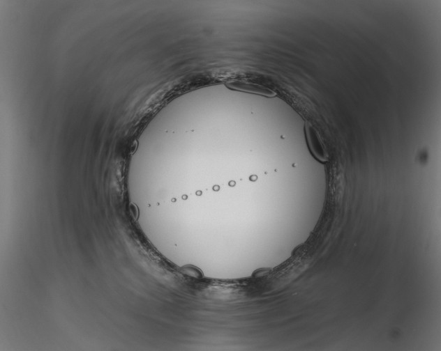 X0000116330280200912151312