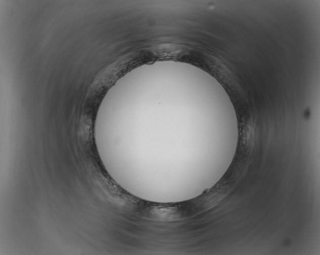 X0000116330283200912151312