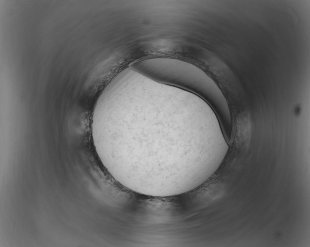 X0000116330284200912151312