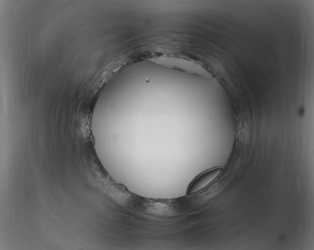 X0000116330285200912151312