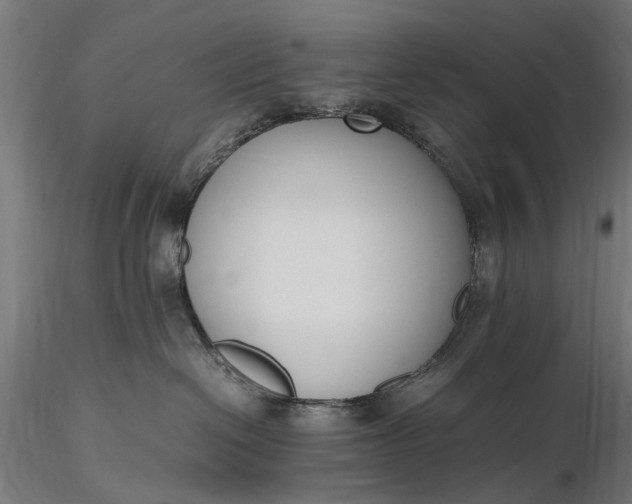 X0000116330286200912151312