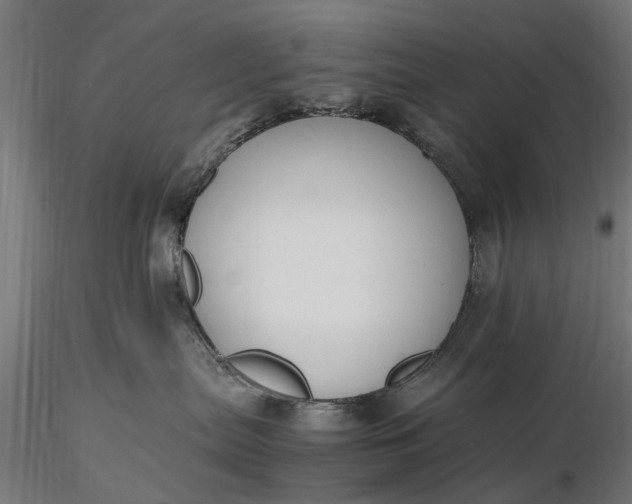 X0000116330287200912151312