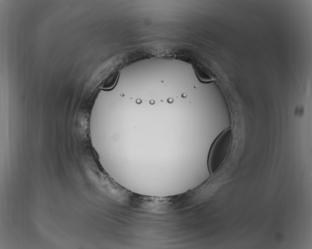 X0000116330288200912151312