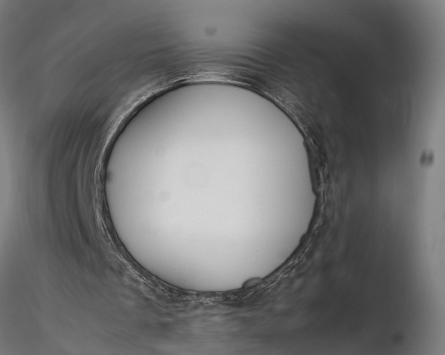 X0000116330289200912151311