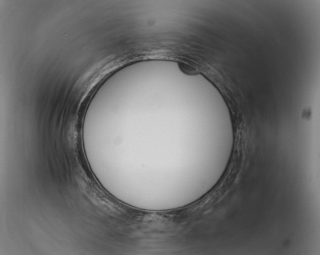 X0000116330290200912151311