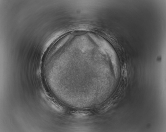 X0000116330292200912151311