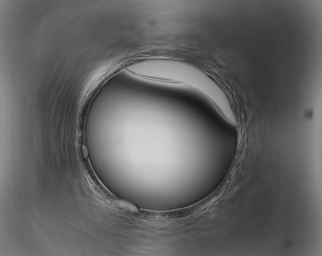 X0000116330293200912151311