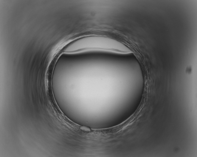 X0000116330294200912151311