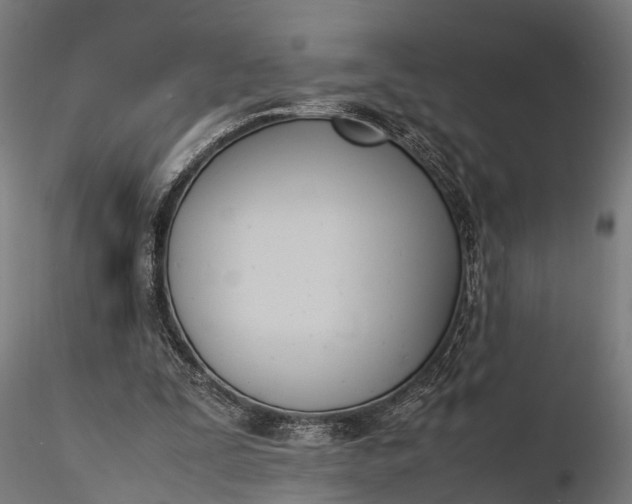 X0000116330295200912151311