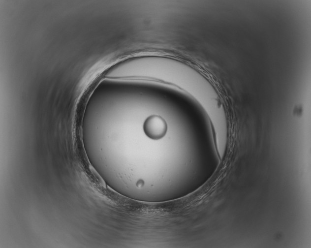 X0000116330296200912151311