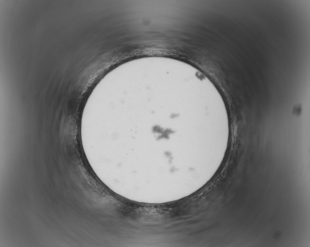 X0000116330297200912151311