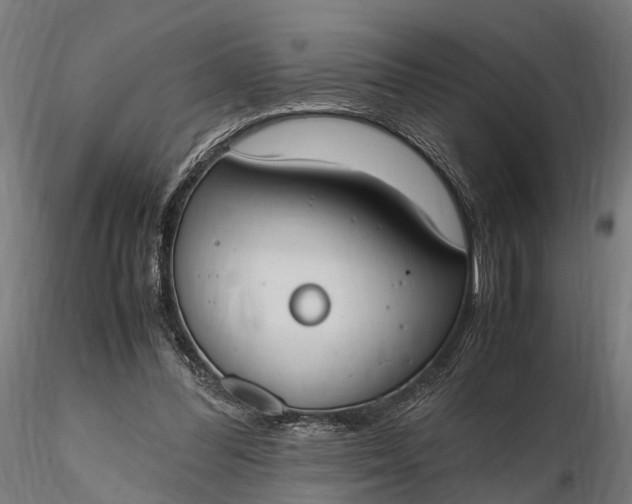 X0000116330300200912151311