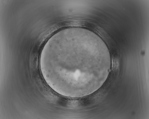 X0000116330301200912151311