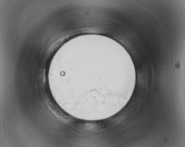 X0000116330302200912151311