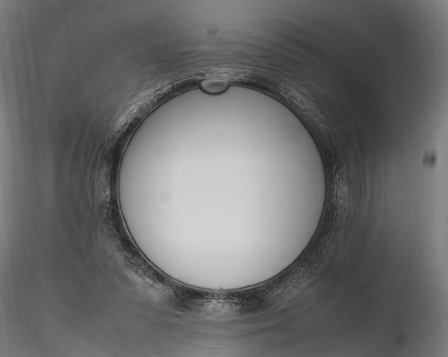 X0000116330303200912151311