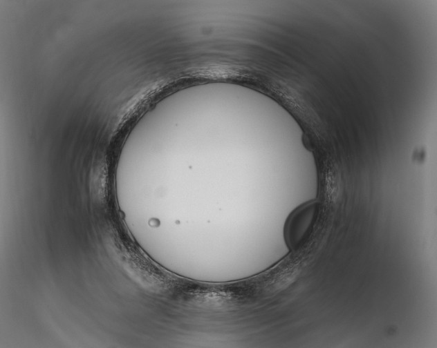 X0000116330304200912151311