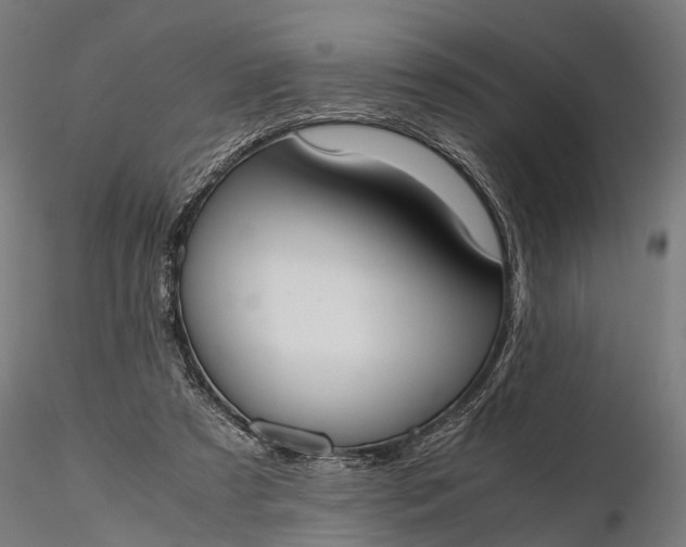 X0000116330305200912151311